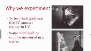 Why we experiment