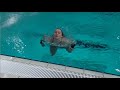 Girls B platform - Senet Diving Cup 2018