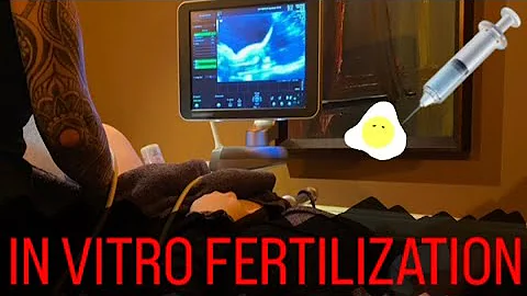 Our IVF Journey
