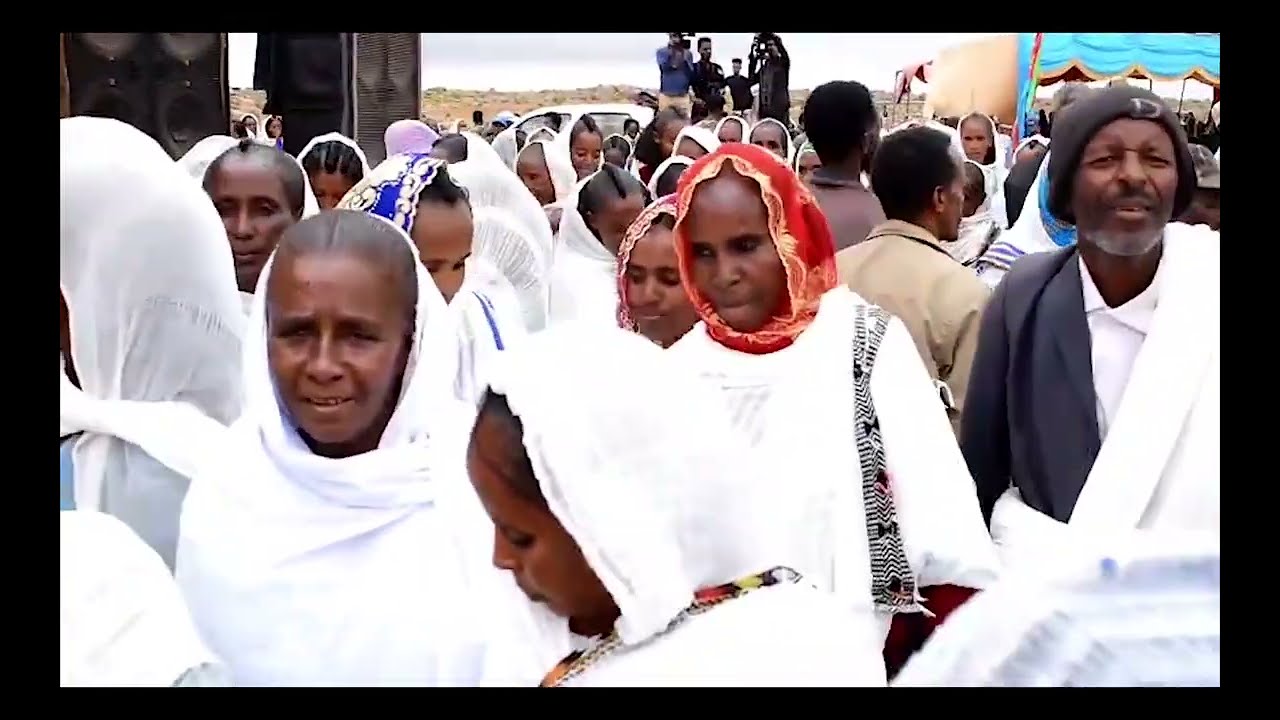New Ertirean whata Ashebr tesfahuney (wchi) ጎይላ ብ ኣሸብር ተስፋሁነይ
