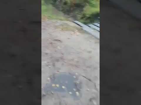 Сураж ул. комсомольская