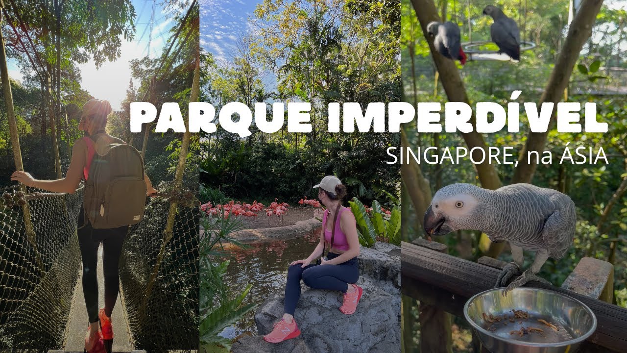 #ep23 PARQUE INCRÍVEL | Jurong brid park em Singapore na Ásia | VLOG