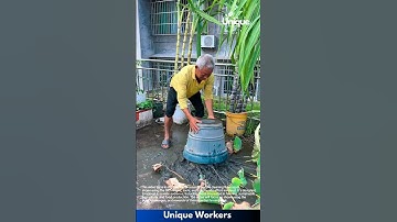 Unloading bamboo: people unloading bamboo from a truck