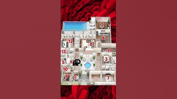 Choose where to hide, NOW!!! #hideandseek #survival #game