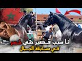هذا هو سـبب باش خـسر قيـصر في مسـابقة جمال الخـيول العـربية البـربرية خيرها فغيرها 