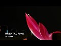 DJ TASAKA 『Oriental Funk』Video Mix