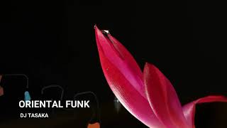 DJ TASAKA 『Oriental Funk』Video Mix