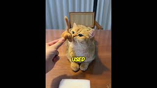 Turned Shedding Cat Fur into Mini Slippers & Matching Clones!#CatCrafts #DIYPets #CuteCats
