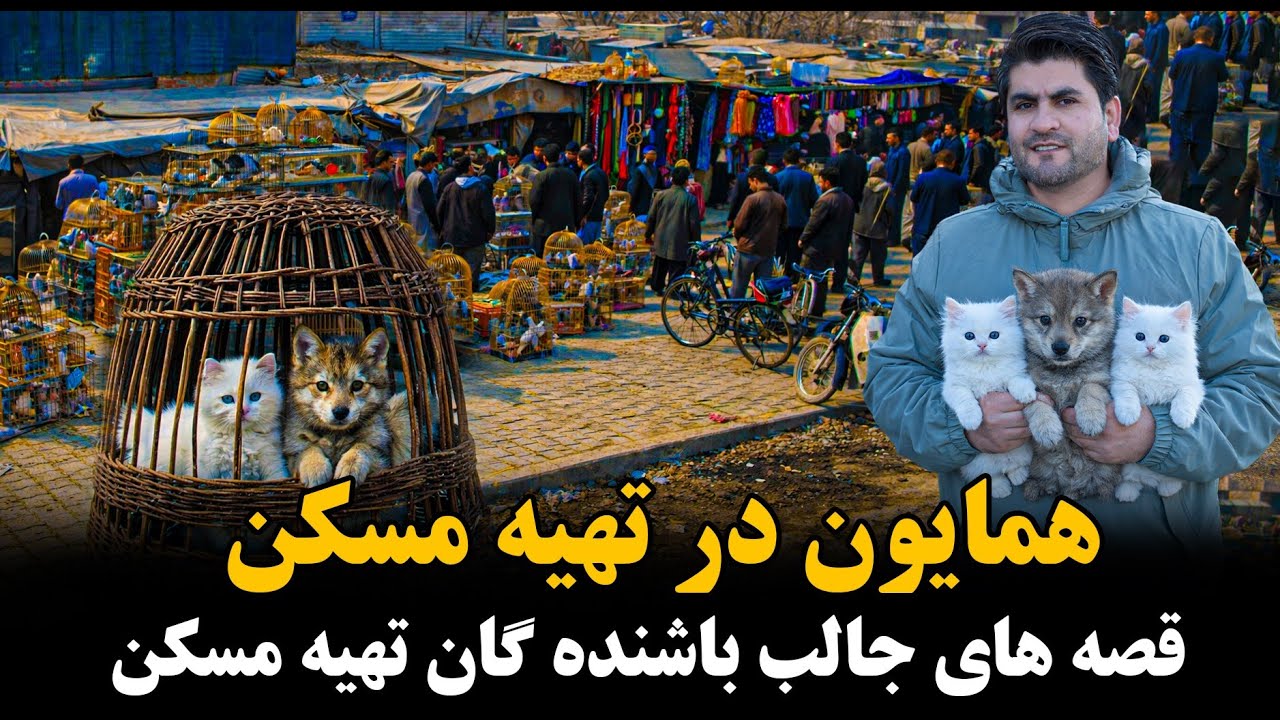 همایون با جَیک ۱۳ ساله و خلیفه ‌ی جَیک ،بزرگترین تجار حیوانات