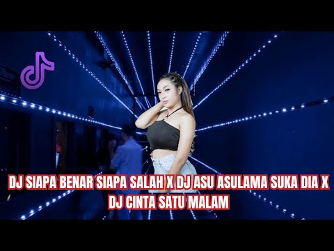 DJ SIAPA BENAR SIAPA SALAH ‼️DJ ASULAMA SUKA DIA ‼️DJ CINTA SATU MALAM