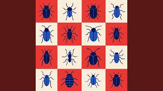 Download Lagu Bugs MP3 Download Lagu Bugs MP3