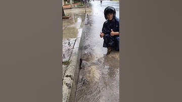 Remove debris clogged drain culvert rain water on the street  #unclog #culverts #drain #remove