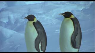 March of the non-conformist Emperor Penguins