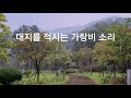 대지를 적시는 가랑비소리.한적한 공원의 비와새소리.