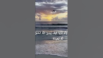 الآية 19 من سورة العنكبوت:❤️
