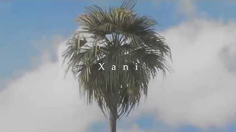 Daydream Cigs #Vedicrc #RE3K (Editing Appclip)