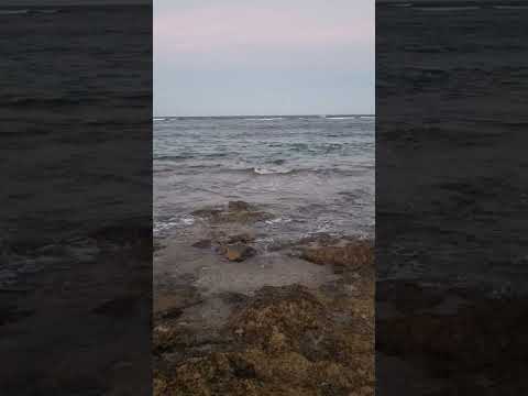 Видео: Dominican Republic Atlantic ocean Доминикана Атлантический океан.