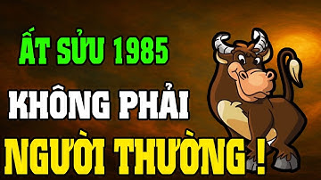 Ất Sửu 1985–Cuộc Đời Khổ Vì Có Căn Trả Nghiệp, Nhưng Hậu Vận Là Đại Phúc Nếu Hiểu Được 7 Điều Này