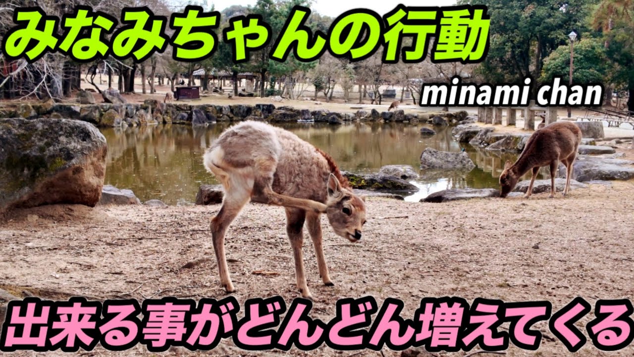 みなみちゃんの行動　出来る事がどんどん増えてくる