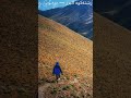 صدایم کن رشته کوه زیبای البرز Iran Alborz نغمه های ایرانی صدایم کن رشته کوه زیبای البرز Iran Alborz نغمه های ایرانی