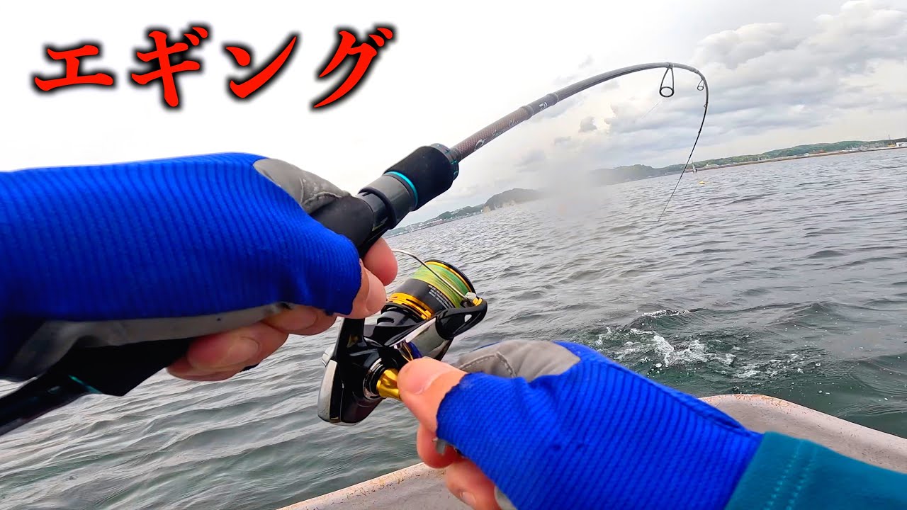初めて貸しボートでエギングに行ってきた！　葉山HFC でボートエギング！
