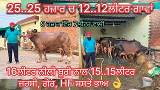 Prabh: 97809 11798/ 10 cows for sale/ 12-8-26/ vedio lye:70090-48628