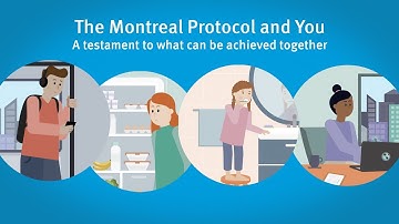The Montreal Protocol and you: A testament to what can be achieved together
