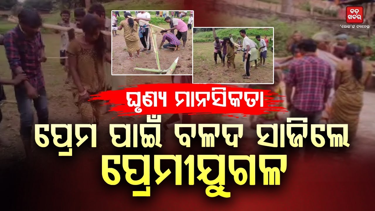 ପ୍ରେମ ପାଇଁ ବଳଦ ସାଜିଲେ ପ୍ରେମୀଯୁଗଳ || BADA KHABAR TV