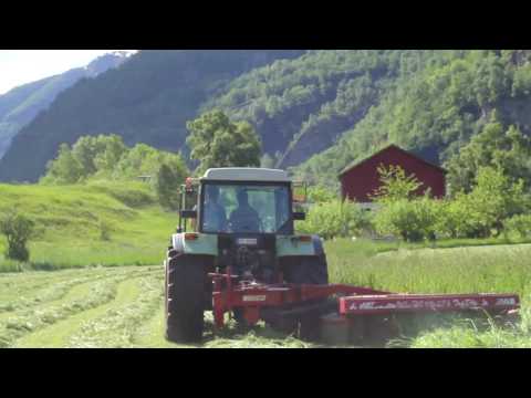 Høyslått på Sogn