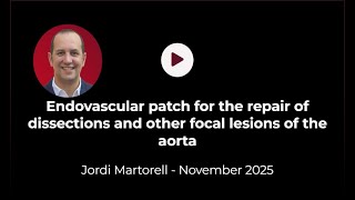Endovascular patch for the repair of dissections and other focal lesions  Jordi Martorell