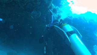 SunF7KeyLargoDiving by Dr. Sean 23 views 8 years ago 2 minutes, 30 seconds