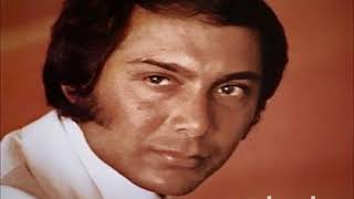 paul anka - never gonna fall in love again - 1976