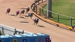 Gawler-17032021-Race-2