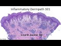 Inflammatory dermpath 101 a beginners guide to diagnosing skin rashes for nondermatopathologists