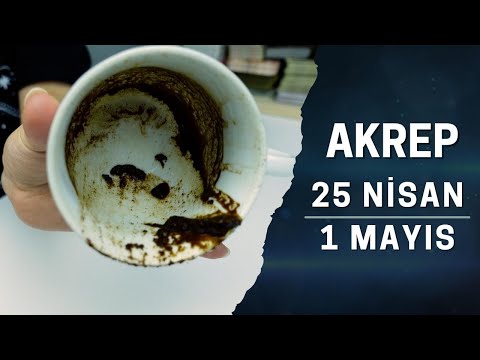AKREP BURCU 25