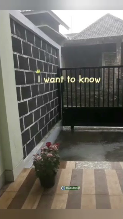 Story wa with lyrics, have you ever seen the rain-Rod Stewart#shorts