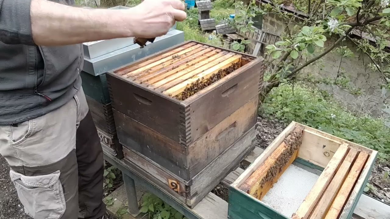 Tvorba oddělků v květnu - dvě jednoduché metody 1. část