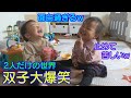 【大爆笑】何でそんなに笑ってるんの?w男女双子生後1歳5ヶ月A great roar of laughter. Why does mix twins laugh that much?