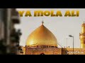 Woh hai Maula Ali ka Gharana By Sayyed Hamid Raza Mp3 Song