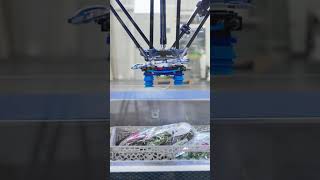 PRL TECNOSOFT | Success Stories - ABB Robotics #shorts