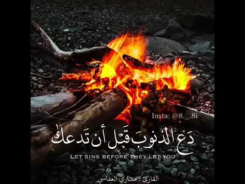 مشاري العفاسي أجمل حالات واتس اب دينية مقاطع دينية قصيرة مقاطع انستقرام دينية 