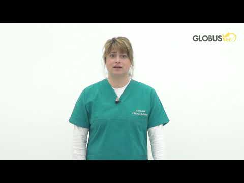 Апарат магнітотерапії Вет MagnetoVet 4000 GLOBUS Італія, видео 1