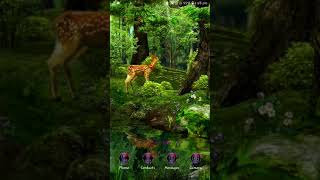 Live forest 3d wallpaper || Live 3d Wallpaper #shorts screenshot 3