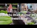 Vlog# Belanja  Sayur Lagi , Habis Segini #dailyvlog #kegiatanirt