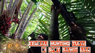 berburu tupai menggunakan laser senapan angin#hunting #shortvideo