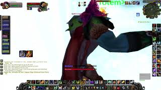 Ele Shaman PvP Warsong Gulch #3 - WoW Season of Discovery