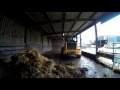 Mucking out the calving shed.