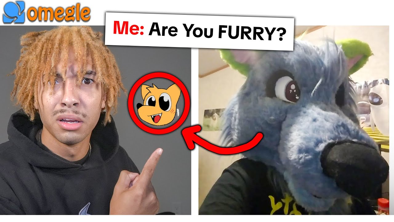 Trying to Find A Furry on Cursed Omegle Bingo