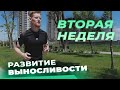 Как развить выносливость? Отчет за вторую неделю тренировок