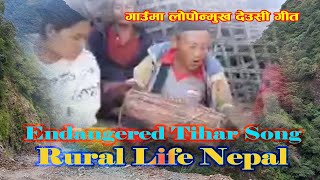 Endangered Tihar Song। लोपोन्मुख देउसी गीत। भोटखोला लिङ्गम स‌खुवासभा थोरै जीवित भेटियो